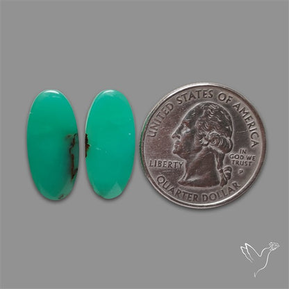 Gemmy Chrysoprase Pair