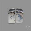 Dendritic Opal Pair