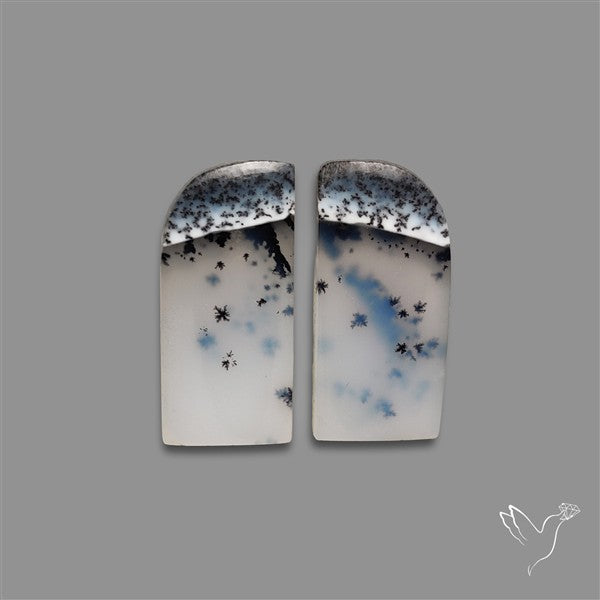 Dendritic Opal Pair