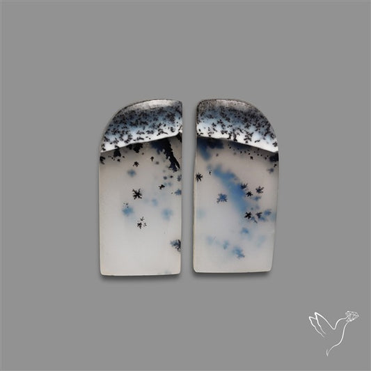 Dendritic Opal Pair
