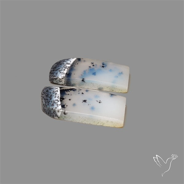 Dendritic Opal Pair