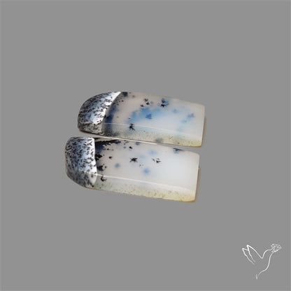 Dendritic Opal Pair