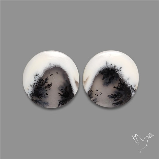 Dendritic Opal Pair