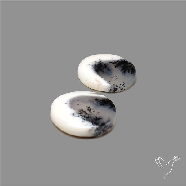 Dendritic Opal Pair