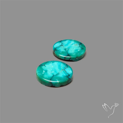 Hubei Turquoise Pair