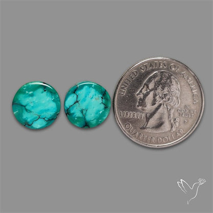 Hubei Turquoise Pair