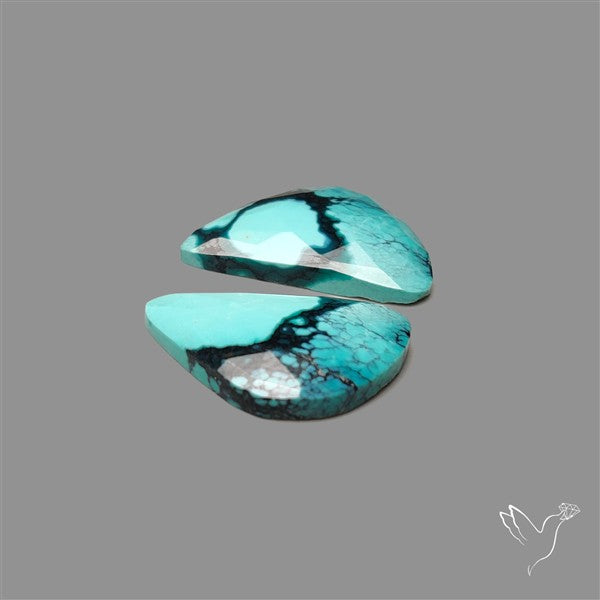 Hubei Turquoise Pair