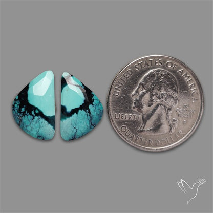 Hubei Turquoise Pair