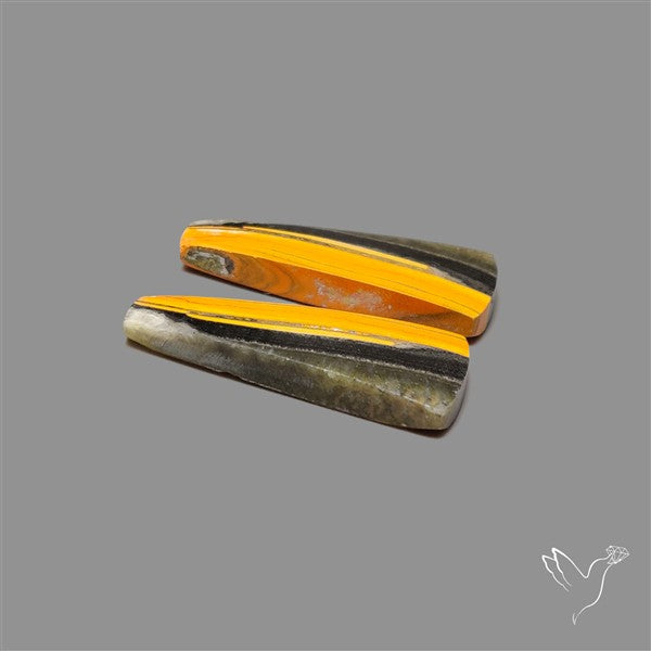 Bumble Bee Jasper Pair