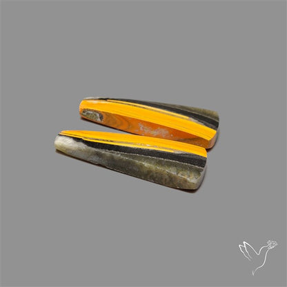 Bumble Bee Jasper Pair