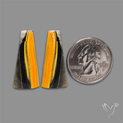 Bumble Bee Jasper Pair