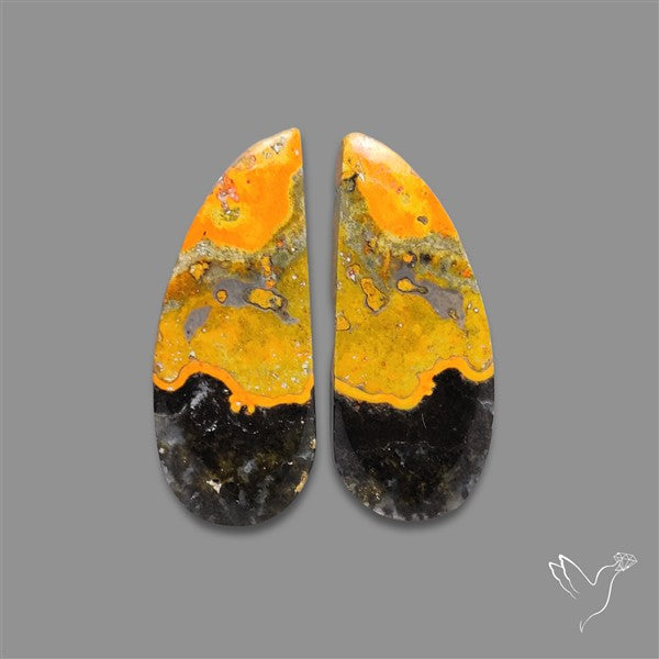 Bumble Bee Jasper Pair