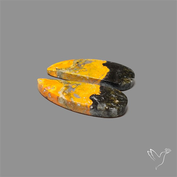 Bumble Bee Jasper Pair
