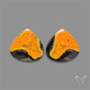Bumble Bee Jasper Pair
