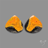 Bumble Bee Jasper Pair