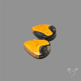 Bumble Bee Jasper Pair