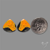 Bumble Bee Jasper Pair
