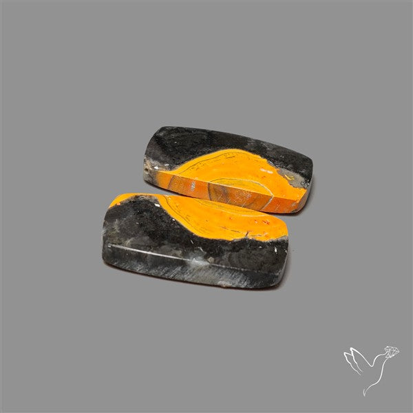 Bumble Bee Jasper Pair