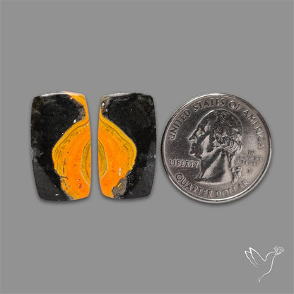 Bumble Bee Jasper Pair