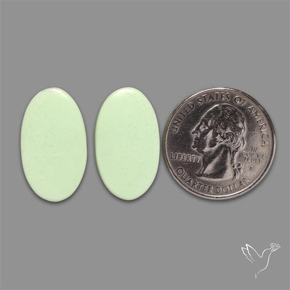 Citrone Chrysoprase Pair
