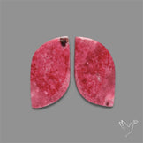 Pink Thulite Pair
