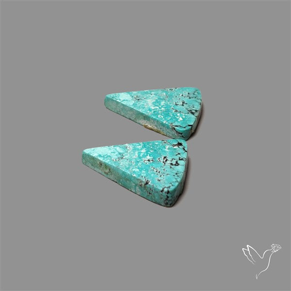 Hubei Turquoise Pair