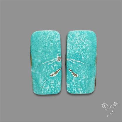 Hubei Turquoise Pair