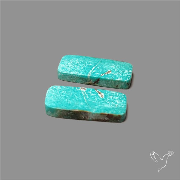 Hubei Turquoise Pair