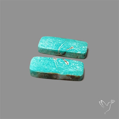Hubei Turquoise Pair