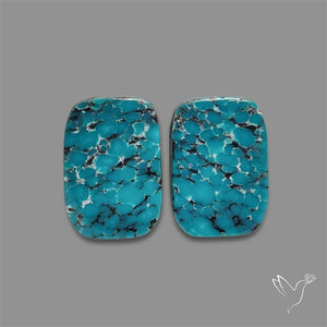 Hubei Turquoise Pair