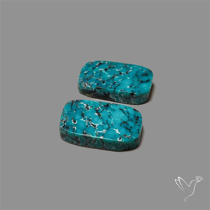 Hubei Turquoise Pair
