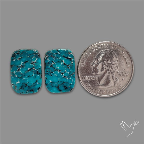 Hubei Turquoise Pair