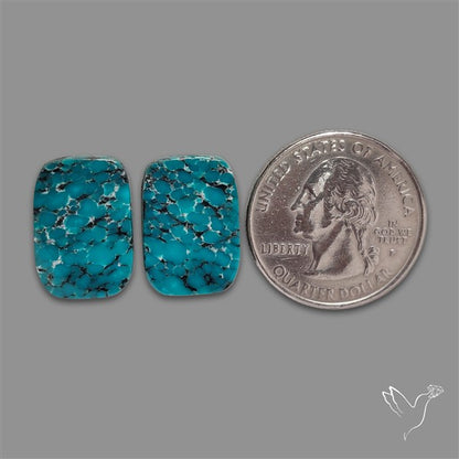 Hubei Turquoise Pair