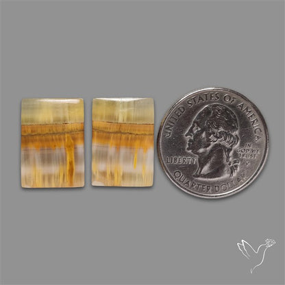 Yellow Clacite Pair
