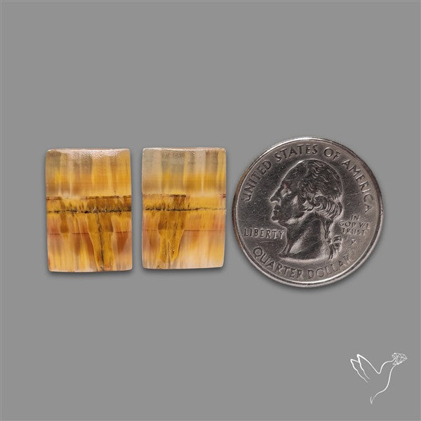Yellow Clacite Pair