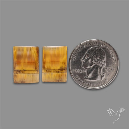 Yellow Clacite Pair
