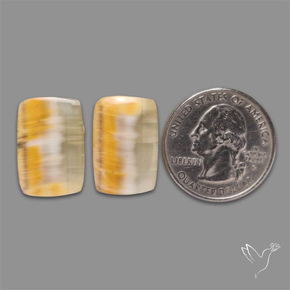 Yellow Clacite Pair