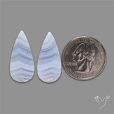 Blue Lace Agate Pair