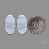 Blue Lace Agate Pair