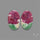 Ruby In Zoisite Pair