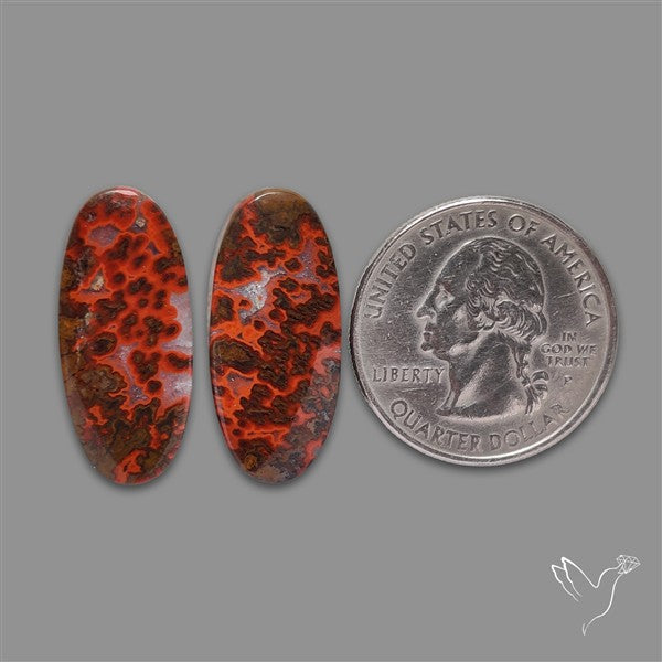 Moccan Seam Agate Pair