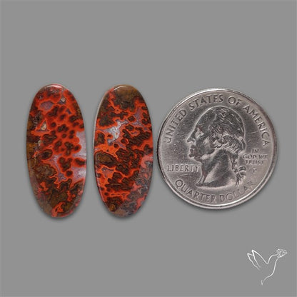 Moccan Seam Agate Pair
