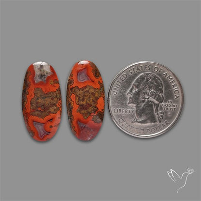 Moccan Seam Agate Pair