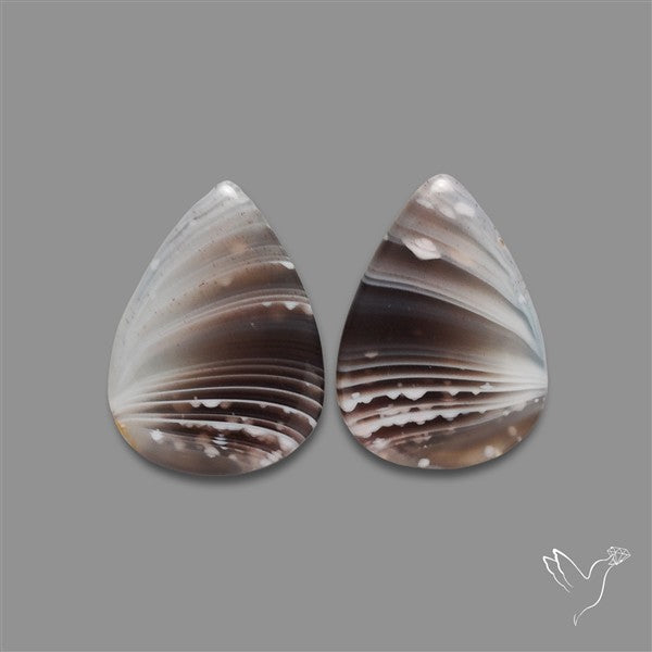 Botswana Agate Pair