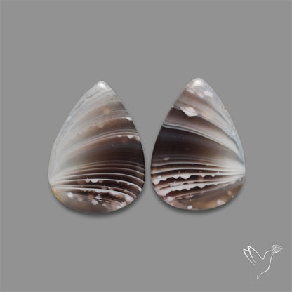 Botswana Agate Pair
