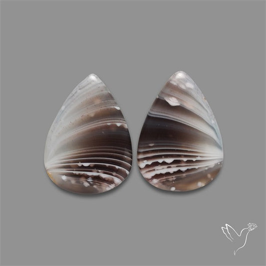 Botswana Agate Pair