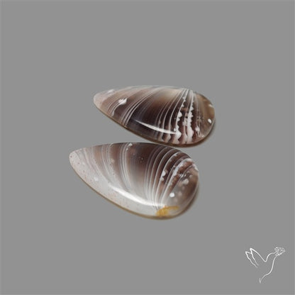 Botswana Agate Pair