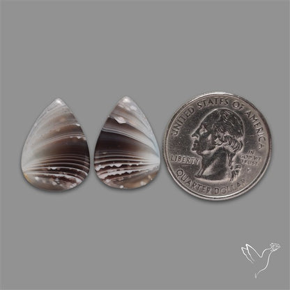 Botswana Agate Pair