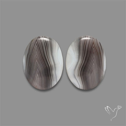 Botswana Agate Pair