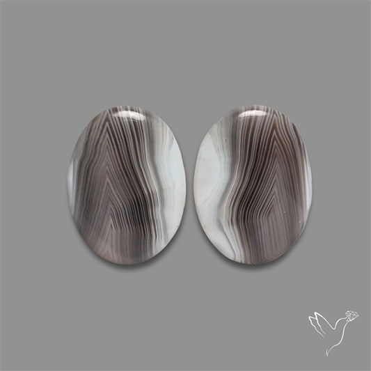 Botswana Agate Pair